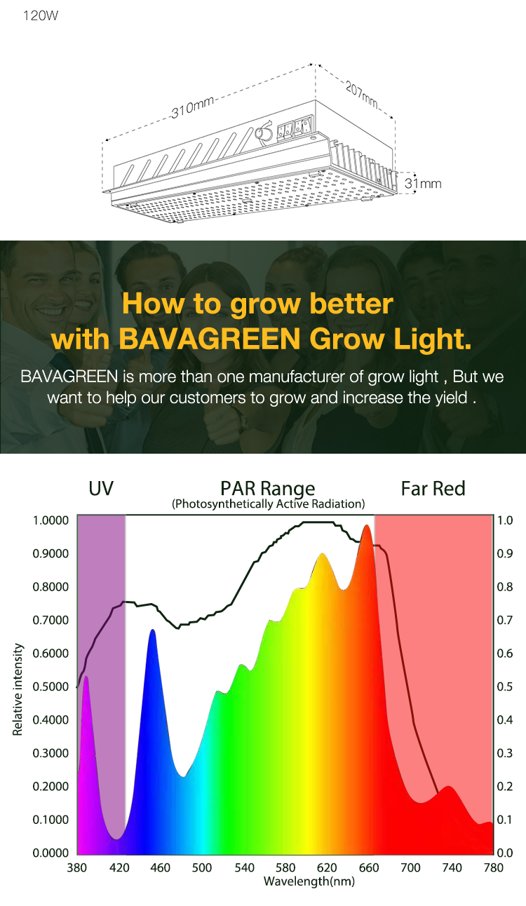 сад доски 120W Samsung 3000K 5000K LM301B Кванта крытый приведенный для того чтобы вырасти света