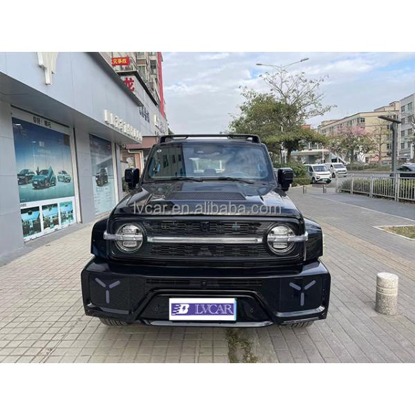 Tank 300 SUV Car with Rear Camera and Automatic Air Conditioner in Customized Version