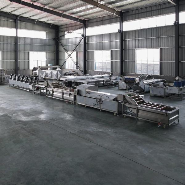 Customized Usage Vegetable and Fruit Cleaning Line for Advanced Streamlined Operations