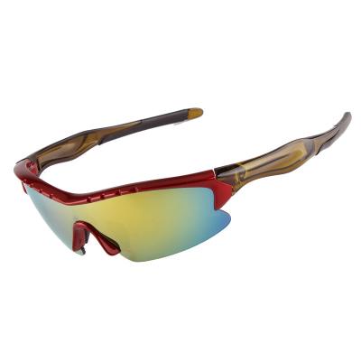 Vidros elegantes dos óculos de proteção do esporte, resistência de impacto de grande resistência de ciclagem dos óculos de sol