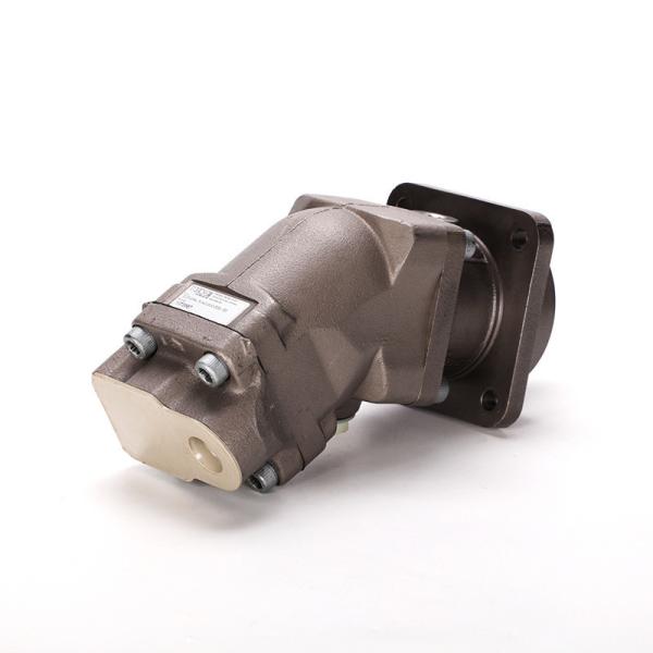 A2fo Hydraulic Motor for A2fo12 A2fo16 A2fo23 A2fo32 A2fo56 A2fo63 A2fo80 A2fo107 A2fo125 A2fo160 A2fo200