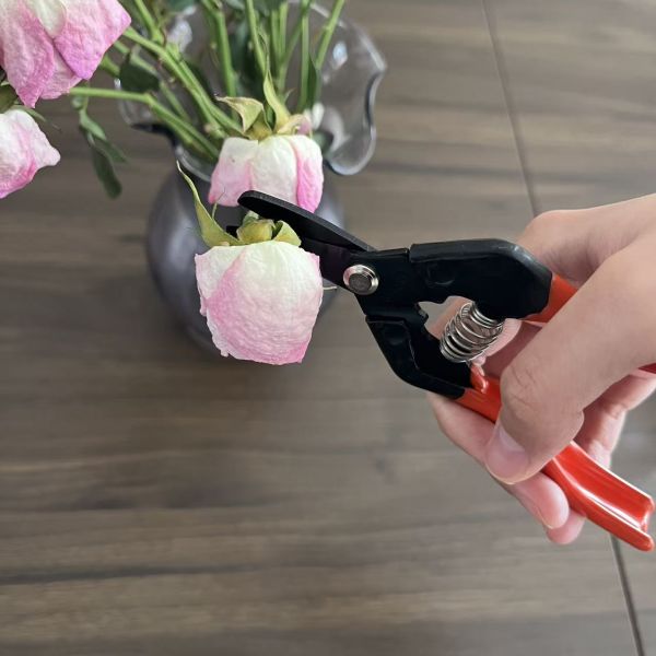 Heat Treated SK5 High Carbon Steel Garden Scissors with -60 Hardness for Fruit Picking Pruning Secateurs Garden Tool