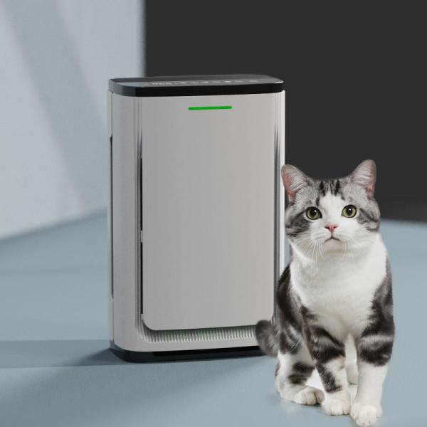 Pet Dander Air Purifier Hepa Filter Smart Pet Air Cleaner For Allergies