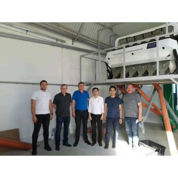 High Output Oat Sorter Color Machine With Optical Ccd Color Sorter