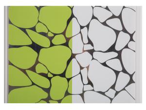 Hot Stamping 250mm PVC Ceiling Panel to Decorate Kitchen Ceilings