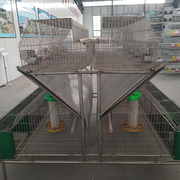 Capacidade galvanizada mergulhada quente dos Mums da superfície 12 da gaiola de aço do coelho da exploração agrícola da rede de arame