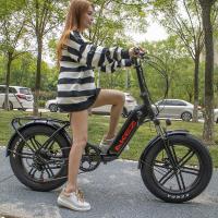 Bicyclette électrique molle de batterie au lithium de cadre de queue de moteur d'alliage à grande vitesse de magnésium