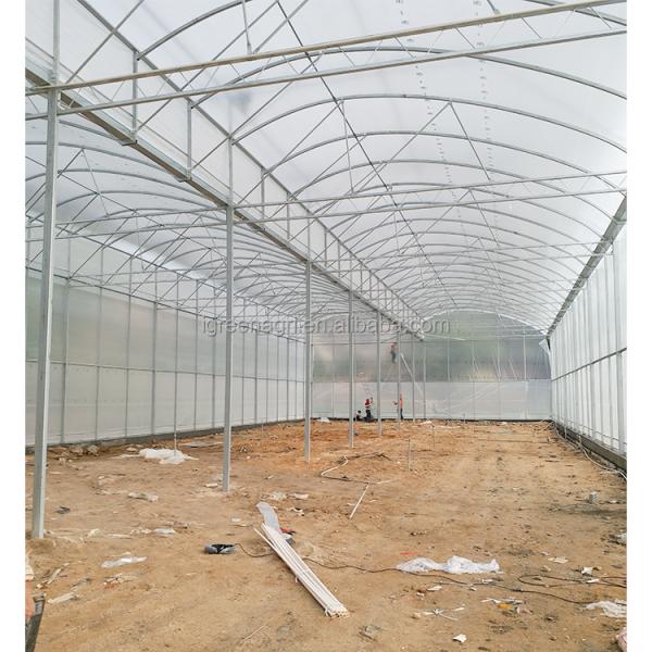 Strong Structure Large Multi-Span Agricultural Tropical Greenhouses PE Plastic Film Covered Gutter Rain Water Collection