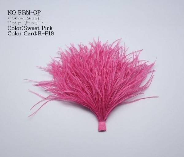 6*10 cm de pele de avestruz tingida para design de moda