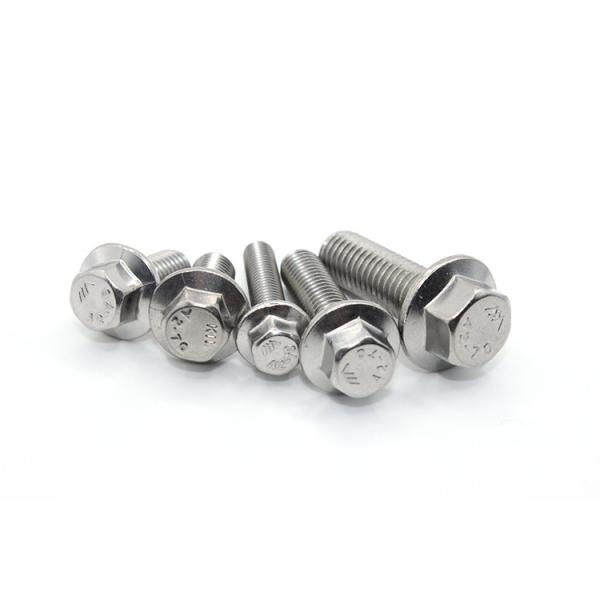 M10 Flange Head Bolt with Hexagon Din6921 and Custom Standard Made of Stainless Steel