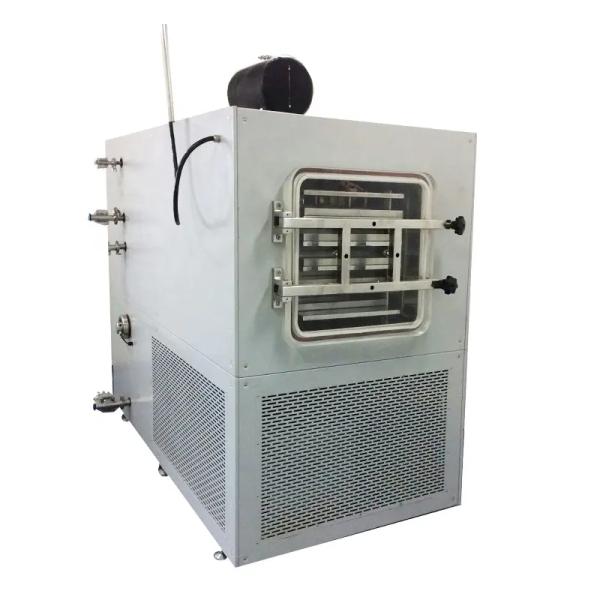 Small Household Freeze Pharmaceutical Dryers AC380V For Food Mini Vacuum Lyophilizer