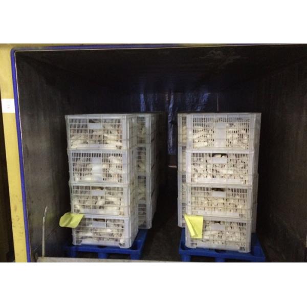 Гриба система охлаждения Пре/вакуум - охлаждать процесса охлаждения быстрый