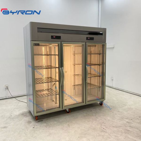 Commercial Vertical Meat Hanging Refrigerator For Pig Beef Lamb
