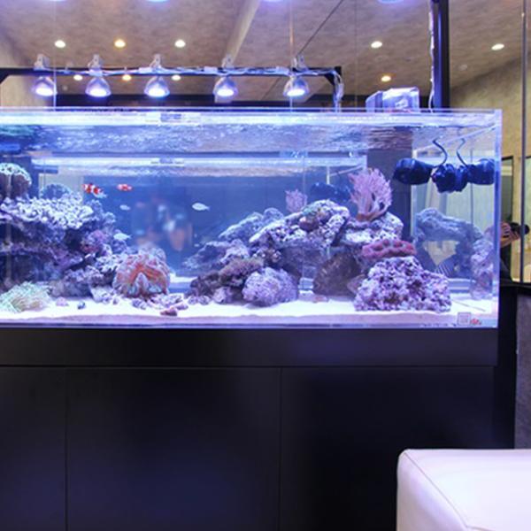 92% Transmission Clear Plastic Aquarium Acrylic Sheet 1220*2440mm