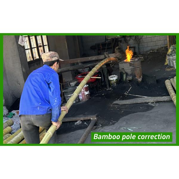 Shanghai Forever Import & Export Co., Ltd.