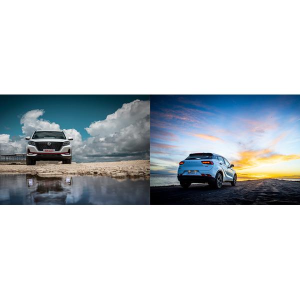 DFSK Compact SUV Glory 500 EU Conformity Certificate Mini Truck Van Vehicles