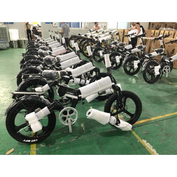 Двигателя велосипеда груза трицикла 3 колес груз Trike 500w 48v 20