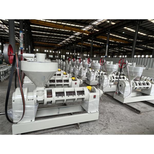 15HP Hot Oil Press Machine Rapeseed Sesame Sunflower Hot Press Oil Machine 250kg/H