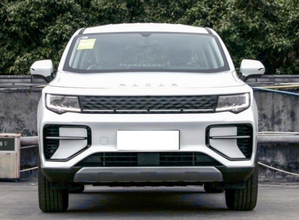 NOVO Modelo 2023 Pickup Elétrico Camião Pickup Elétrico de Alta Potência Carros Elétricos RADAR RD6