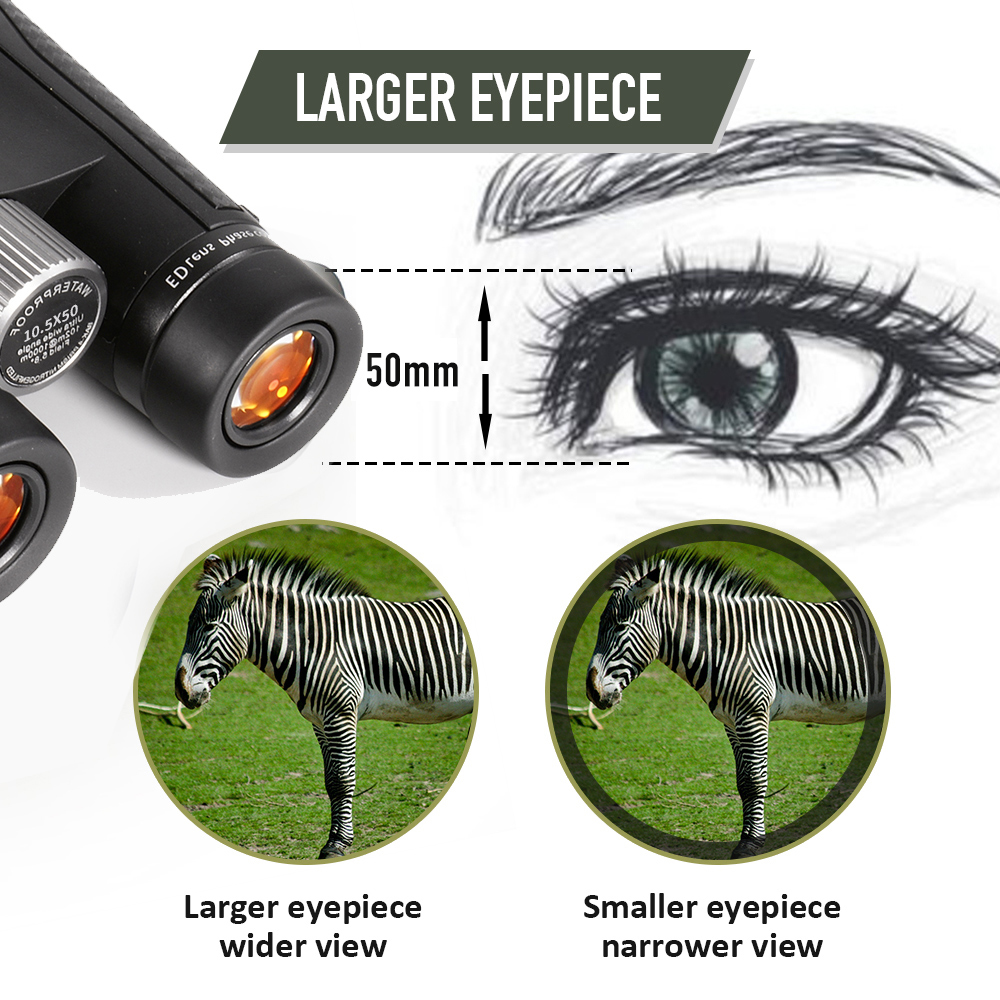 бинокли 10X50 ED выдвигают призмы FMC& BaK-4 на открытом воздухе и Birding наблюдая Binoculas для взрослых