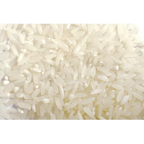 New Arrival Rice Mill Machine 800kg/H Capacity Color Sorter Factory Sale