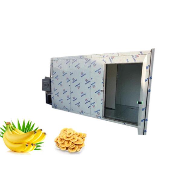 Professional Hot Air Fruit And Vegetable Sterilizing Machine Strong Versatility