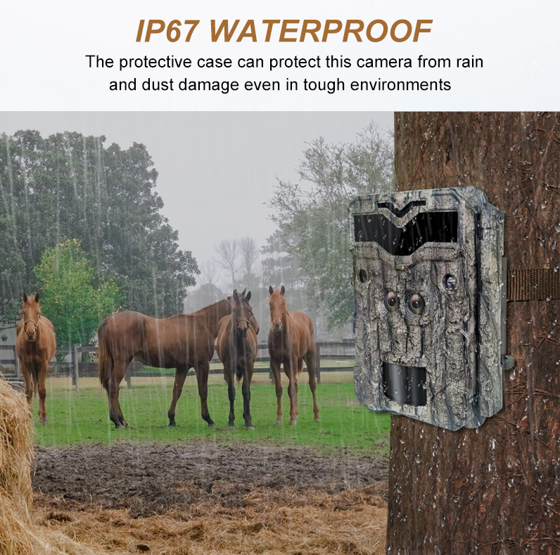 Новая KW698A 4K Trail Camera Dual Sensors IP67 No Glow AA Alkaine Batteries Wildlife Outdoor Hunting Camera