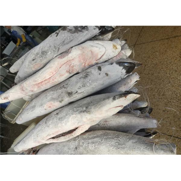 Опустошанный стейк голубой акулы отрезка 10kg замороженный для ресторана