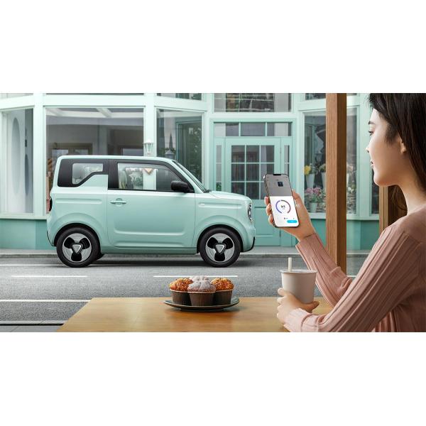 Mini Car Wuling Electric Car 120km Ternary Lithium Battery 3-door 4-seat Hatchback