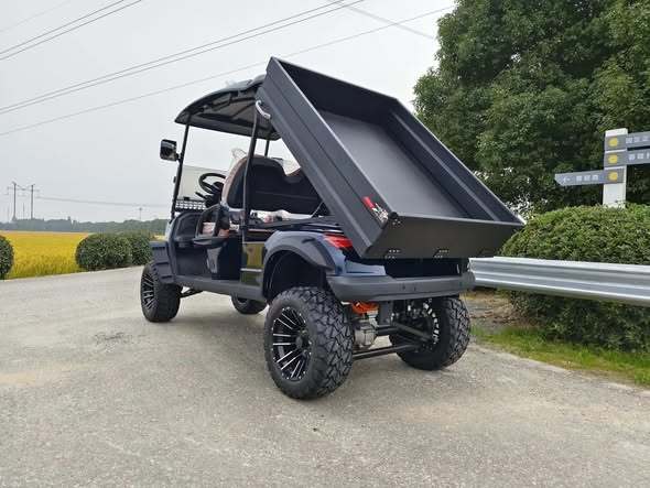 Multi-Purpose Utility Vehicle 2-Seater Golf Cart with Cargo Bed
