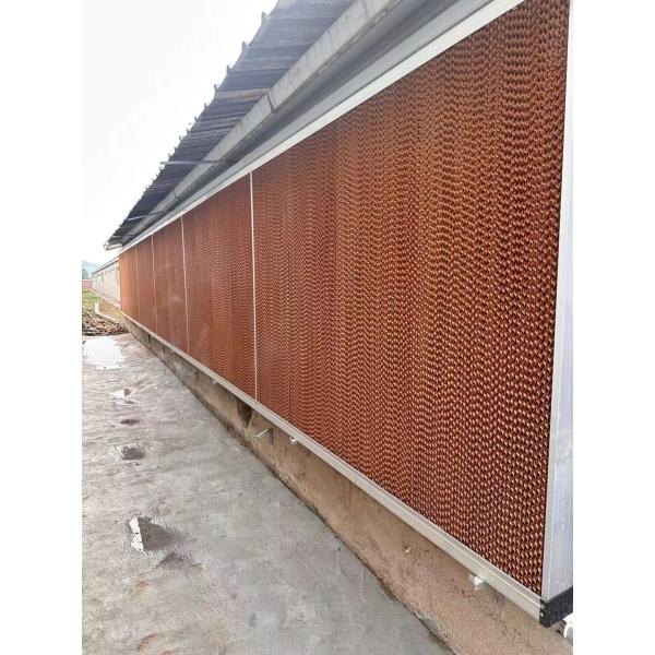 Maison de porcherie en acier Installation sur place Construction de poulailler