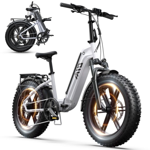 20 Inch Folding Fat Tire Electric Bike, Portable E-Bike for City Commute and Outdoor Adventure  750W 48v 15AH