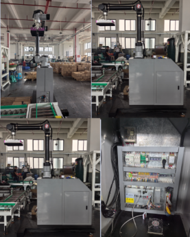 Cost-effective 30kg Payload Collaborative Palletizer with 8-10 times/Min Speed and 1600mm Stacking Height