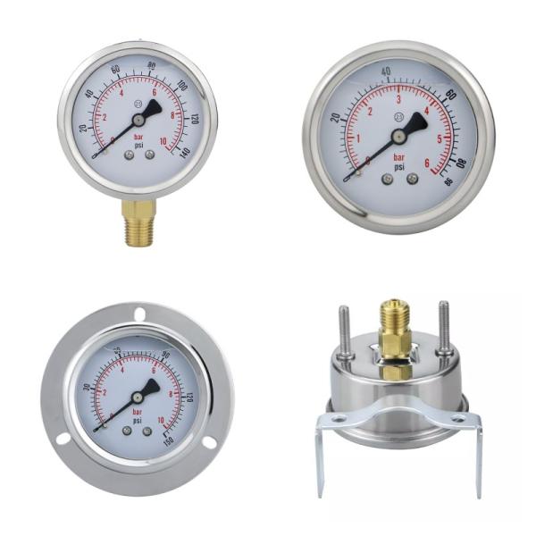 Stainless Steel Case Glycerin Filled Pressure Gauge with 2.5% Accuracy and OEM Bezel
