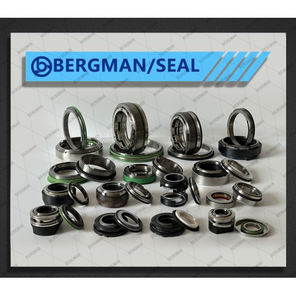 ISO9001-2015 Certified Replace Flygt FQL-60mm Pump Mechanical Seal with Tungsten Carbide TC Lower Seal