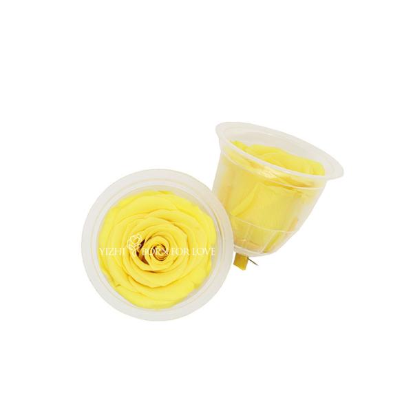 Decorative Fresh Cut Yellow Preserved Roses 2-3 Cm