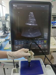 Bk sondas de ultra-som médico empresas de transdutor de ultra-som médico