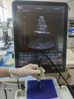 Bk sondas de ultra-som médico empresas de transdutor de ultra-som médico