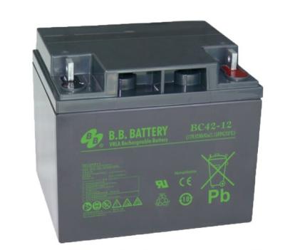 12V 42Ah BC42-12 VRLA Rechargeable Lead-acid Battery for Golf Carts