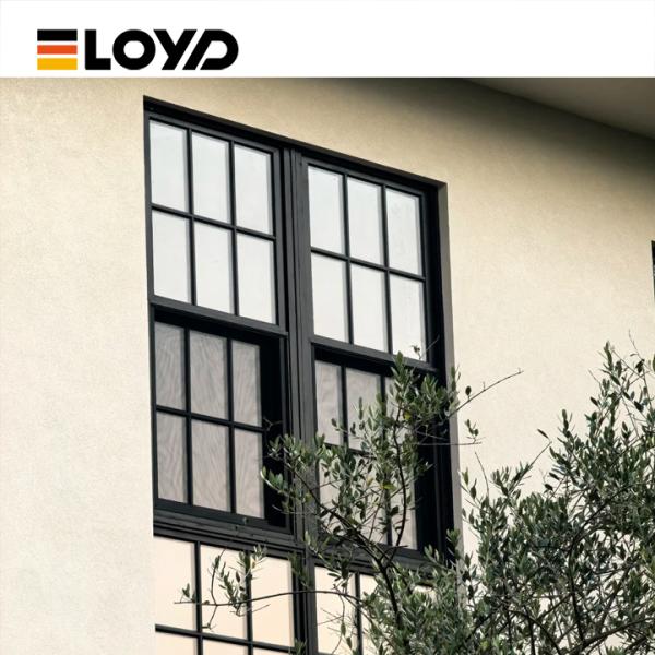 Double Single Hung Window with 5+18A+5mm Tempered Glass