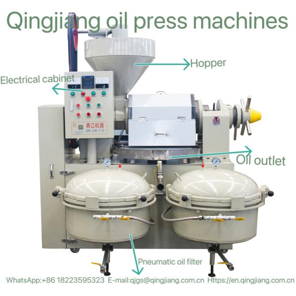 100kg/H  Mustard Seeds Oil Press Screw Oil Expeller Automatic Screw Oil Press With Filter