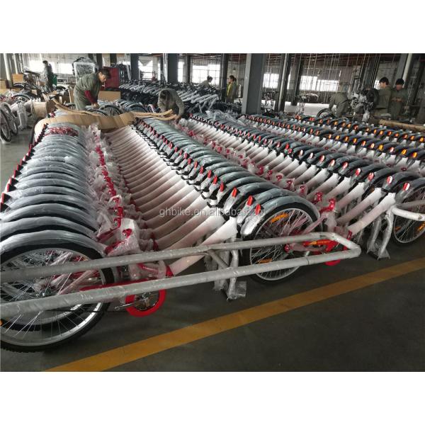 Custom Girl City Bikes with 24*2.125 Tire Width and Lightweight Aluminum Alloy Rim