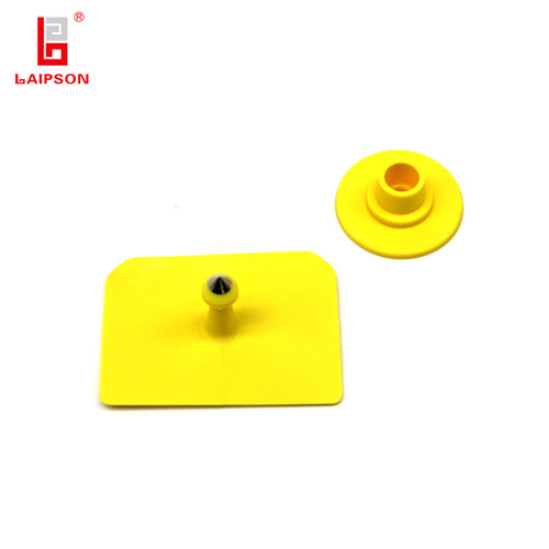 Plastic Tpu Metal Tip 52*38mm CMA Livestock Ear Tags