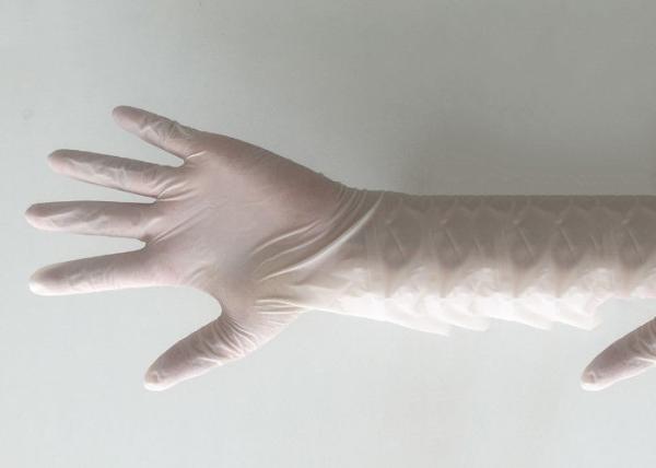 Non Toxic White Surgical Gloves , Vinyl Exam Gloves Net Weight 4.0-5.5g