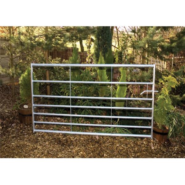 Высокопрочное полностью сваривая гальванизированное поголовье стробирует 6фт С12фт с 6 Адвокатурами