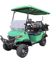 Chariot de golf électrique respectueux de l'environnement avec moteur à courant alternatif efficace idéal pour les terrains de golf