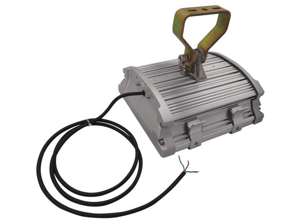 Industrial Anti Corrosion 60W IP66 LED Explosion Proof Light Fixture with Input Voltage