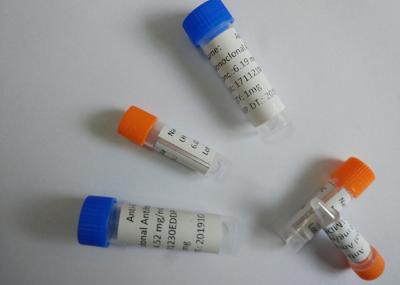 Anticorpo monoclonal refinado 1995mg/mês do anti-Phencyclidine rato