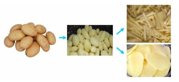 Commercial Vegetable Cutter Slicer Shredder Chili Mushroom Patatoes Cutting Machine Vegetable Dicing Machine