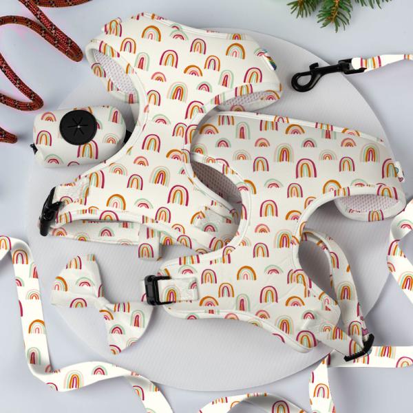 Polyester Dog Leash Harness Set Personalized Dog Collar And Lead Set